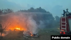 Абай облысында жұмысшылар орман өртін сөндіріп жатыр. 8 маусым, 2023 жыл. 