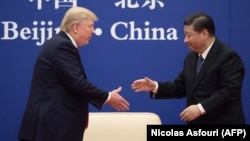 Chinese President Xi Jinping (right) shakes hands with U.S. President Donald Trump during an event at the Great Hall of the People in Beijing on November 9.