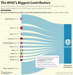 INFOGRAPHIC: The WHO's Biggest Contributors