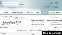 Қытай қазақтарының kultegin.com сайтынан скриншот. (Көрнекі сурет)