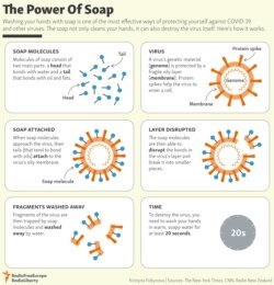 INFOGRAPHIC: The Power Of Soap