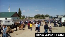 Жетіген ауылындағы жексенбілік мал базары. Алматы облысы, 19 мамыр 2019 жыл.