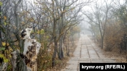 Севастополь в тумане: «лондонская» погода на полуострове (фотогалерея)